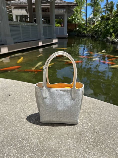 Secure Payment Goyard Shoe